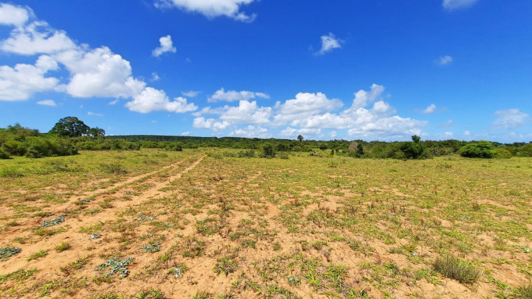 Imagem Fazenda à Venda, 900.000 m² em Centro - Viamão Imagem Fazenda à Venda, 900.000 m² em Centro - Viamão