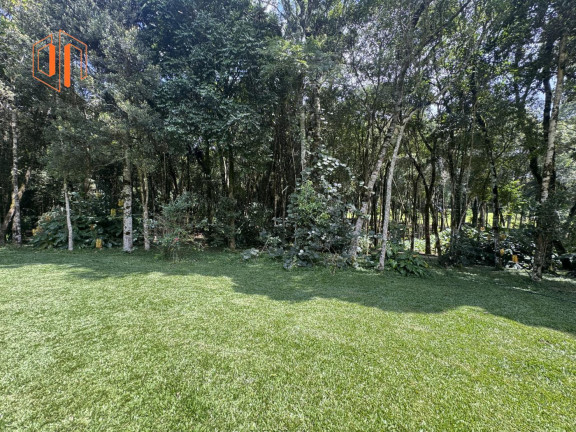 Imagem Imóvel com 2 Quartos à Venda, 6.000 m² em Loteamento Chácara Chantecler - Piraquara Imagem Imóvel com 2 Quartos à Venda, 6.000 m² em Loteamento Chácara Chantecler - Piraquara