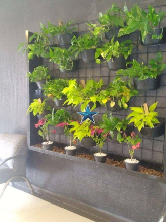 Imagem Apartamento com 2 Quartos à Venda, 52 m² em Freguesia Do ó - São Paulo
