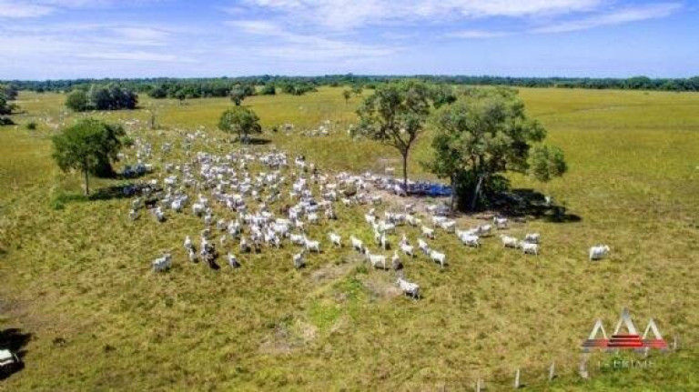 Imagem Fazenda à Venda, 92 m² em Zona Rural De Poconé - Poconé Imagem Fazenda à Venda, 92 m² em Zona Rural De Poconé - Poconé