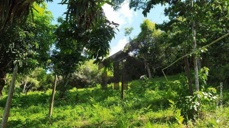Imagem Chácara com 6 Quartos à Venda, 65.000 m² em Aldeia - Camaragibe Imagem Chácara com 6 Quartos à Venda, 65.000 m² em Aldeia - Camaragibe