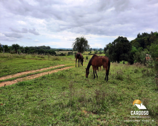 Imagem Imóvel com 6 Quartos à Venda, 24.000 m² em águas Claras - Viamão Imagem Imóvel com 6 Quartos à Venda, 24.000 m² em águas Claras - Viamão