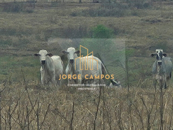 Imagem Fazenda à Venda, 60 m² em área Rural - Pedranópolis Imagem Fazenda à Venda, 60 m² em área Rural - Pedranópolis