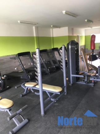 Imagem Apartamento com 2 Quartos à Venda, 54 m² em Vila Palmeiras - São Paulo