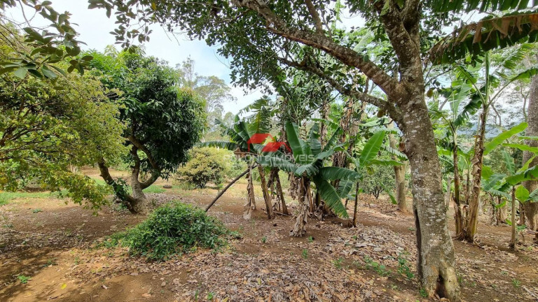 Imagem Chácara com 4 Quartos à Venda, 2.800 m² em Centro - Piracaia