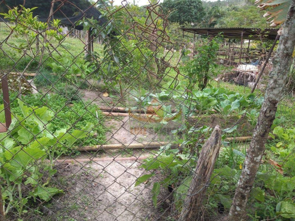 Imagem Fazenda à Venda, 72.000 m² em Padre André - Jacupiranga Imagem Fazenda à Venda, 72.000 m² em Padre André - Jacupiranga