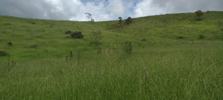 Imagem Chácara com 3 Quartos à Venda, 120 m² em Centro - Guaratinguetá