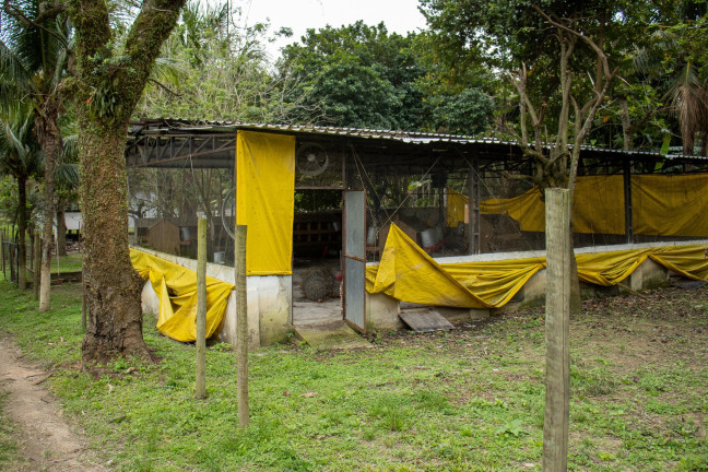 Imagem Imóvel com 7 Quartos à Venda, em Guaratiba - Rio De Janeiro Imagem Imóvel com 7 Quartos à Venda, em Guaratiba - Rio De Janeiro