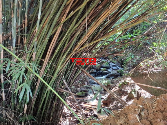 Imagem Imóvel à Venda,  em Bairro Cachoeira - Dom Viçoso