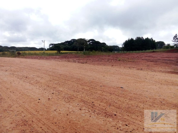 Imagem Terreno à Venda, 4.411 m² em Campo Largo Da Roseira - São José Dos Pinhais
