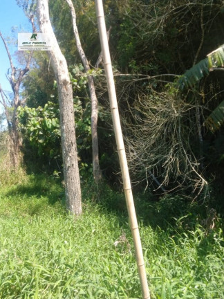 Terreno à Venda, 2.500 m² em Caetê - São Roque