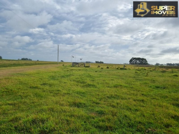 Imagem Imóvel com 2 Quartos à Venda, 14.700.000 m² em Quinta - Rio Grande