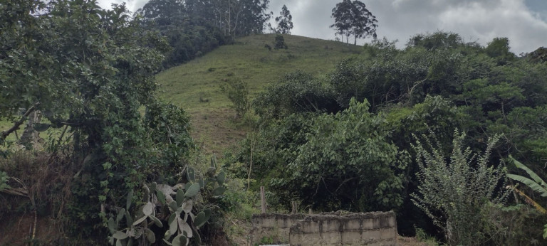 Imagem Chácara com 1 Quarto à Venda, 100 m² em Catuçaba - São Luíz Do Paraitinga Imagem Chácara com 1 Quarto à Venda, 100 m² em Catuçaba - São Luíz Do Paraitinga