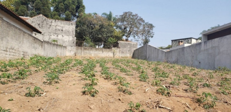 Imagem Terreno à Venda, 600 m² em Jardim Paulista - Atibaia