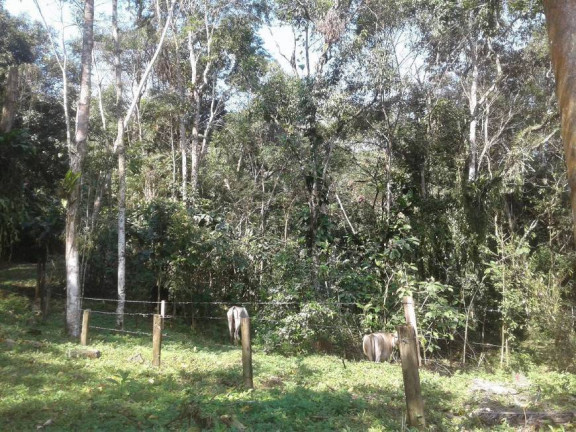 Imagem Terreno em Condomínio à Venda, 360 m² em Sertão Da Quina - Ubatuba