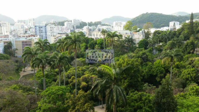 Imagem Apartamento com 3 Quartos à Venda, 264 m² em Laranjeiras - Rio De Janeiro Imagem Apartamento com 3 Quartos à Venda, 264 m² em Laranjeiras - Rio De Janeiro
