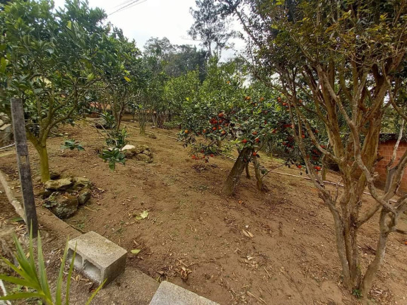Imagem Casa com 3 Quartos à Venda, 7 m² em Chácara Paraíso - Nova Friburgo Imagem Casa com 3 Quartos à Venda, 7 m² em Chácara Paraíso - Nova Friburgo