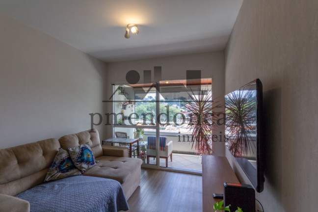Imagem Apartamento com 3 Quartos à Venda, 92 m² em Vila Ipojuca - São Paulo Imagem Apartamento com 3 Quartos à Venda, 92 m² em Vila Ipojuca - São Paulo