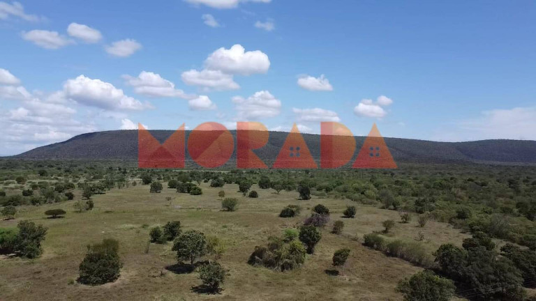 Imagem Fazenda à Venda, 2.700 m² em Zona Rural - Morpará Imagem Fazenda à Venda, 2.700 m² em Zona Rural - Morpará