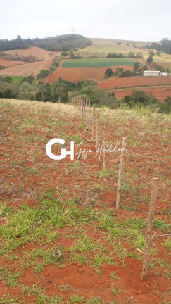 Chácara à Venda, 5.000 m² em Piedade