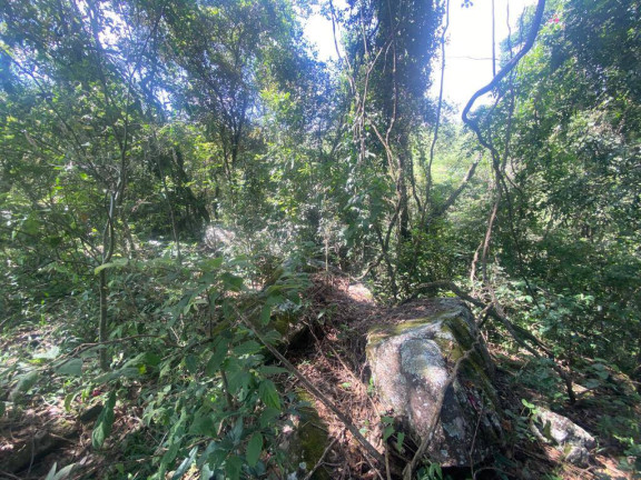 Imagem Terreno à Venda, 3 m² em Santa Terezinha De Minas - Itatiaiuçu Imagem Terreno à Venda, 3 m² em Santa Terezinha De Minas - Itatiaiuçu