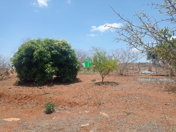 Imagem Imóvel com 1 Quarto à Venda, 40 m² em Nova Esperança - Nova Esperança Imagem Imóvel com 1 Quarto à Venda, 40 m² em Nova Esperança - Nova Esperança