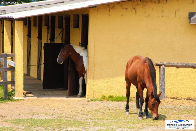 Imagem Chácara com 4 Quartos à Venda, 200 m² em Rural - Pinhalzinho Imagem Chácara com 4 Quartos à Venda, 200 m² em Rural - Pinhalzinho