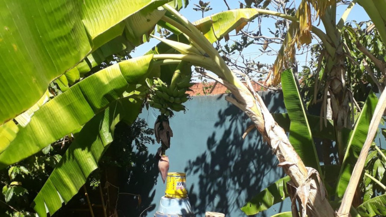 Imagem Imóvel com 2 Quartos à Venda, 700 m² em Quinta Da Bela Olinda - Bauru Imagem Imóvel com 2 Quartos à Venda, 700 m² em Quinta Da Bela Olinda - Bauru