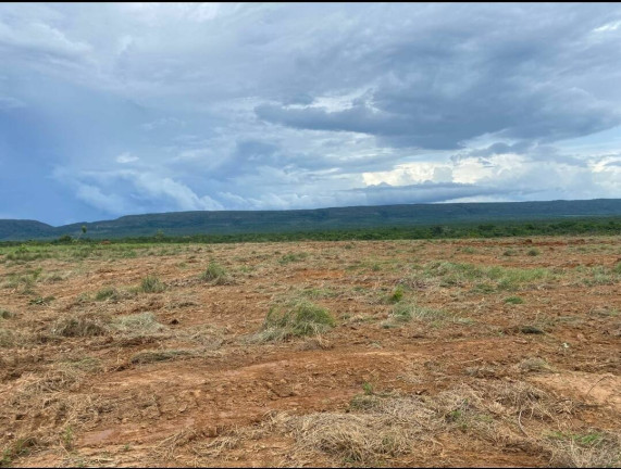 Imagem Fazenda à Venda, 1.135 m² em Cuiabá Imagem Fazenda à Venda, 1.135 m² em Cuiabá