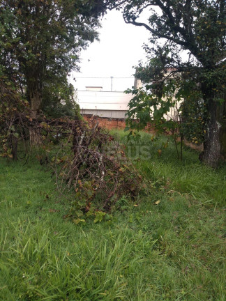 Imagem Casa com 3 Quartos à Venda, 173 m² em Centro - Itapetininga