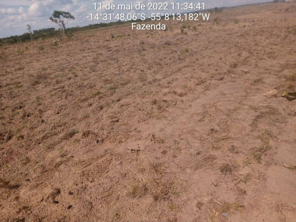 Imagem Fazenda à Venda, 3.600 m² em Nova Brasilândia Imagem Fazenda à Venda, 3.600 m² em Nova Brasilândia