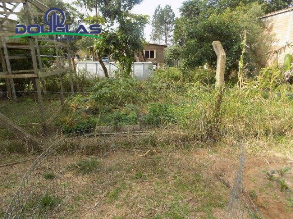 Imagem Casa com 2 Quartos à Venda, 600 m² em Viamão Imagem Casa com 2 Quartos à Venda, 600 m² em Viamão