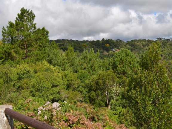 Imagem Terreno à Venda, 800 m² em Vale Dos Pinheiros - Gramado Imagem Terreno à Venda, 800 m² em Vale Dos Pinheiros - Gramado