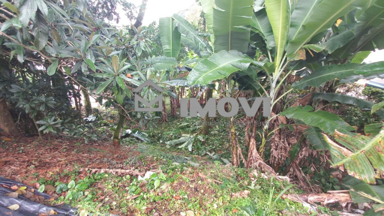 Imagem Terreno à Venda, 1.165 m² em Centro - Domingos Martins Imagem Terreno à Venda, 1.165 m² em Centro - Domingos Martins