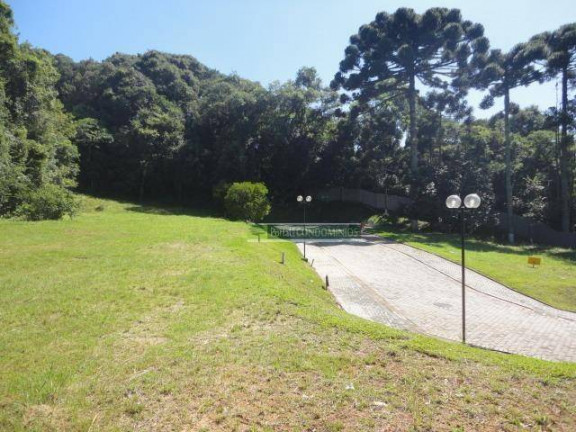 Imagem Terreno à Venda, 614 m² em Campo Comprido - Curitiba