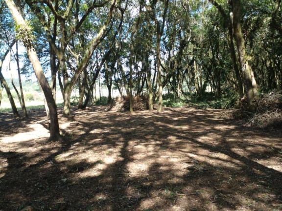 Imagem Terreno à Venda, 20.000 m² em Campo Largo Da Roseira - São José Dos Pinhais Imagem Terreno à Venda, 20.000 m² em Campo Largo Da Roseira - São José Dos Pinhais