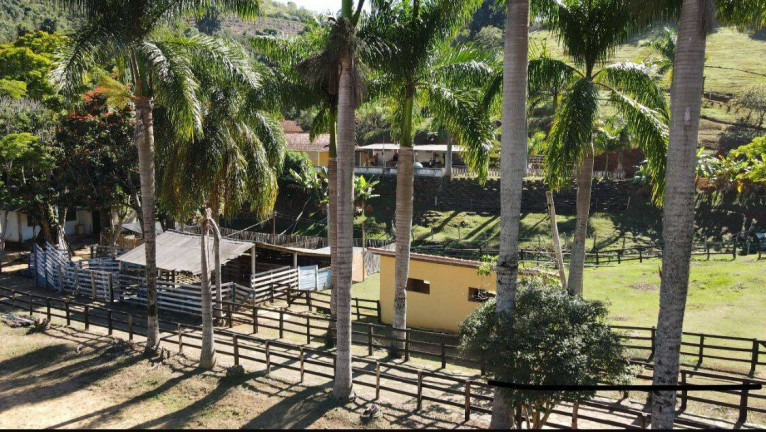 Imagem Chácara com 6 Quartos à Venda, 150.000 m² em Monte Belo - Santa Rita Do Sapucaí Imagem Chácara com 6 Quartos à Venda, 150.000 m² em Monte Belo - Santa Rita Do Sapucaí