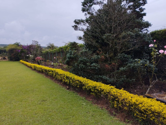 Imagem Chácara à Venda, 14.000 m² em Sarapui - Pilar Do Sul Imagem Chácara à Venda, 14.000 m² em Sarapui - Pilar Do Sul