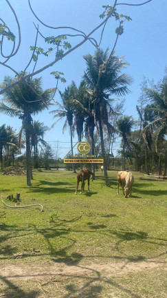 Imagem Terreno à Venda, em Unamar (tamoios) - Cabo Frio Imagem Terreno à Venda, em Unamar (tamoios) - Cabo Frio
