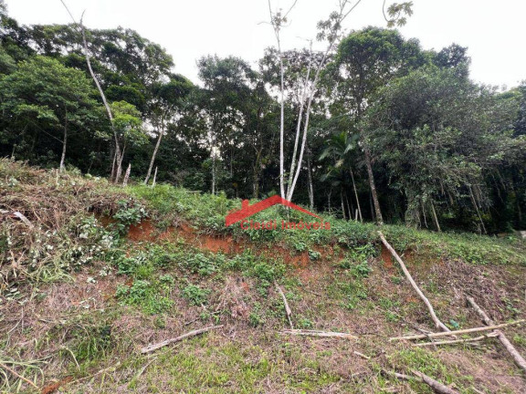 Imagem Terreno à Venda, 442 m² em Itaum - Joinville Imagem Terreno à Venda, 442 m² em Itaum - Joinville