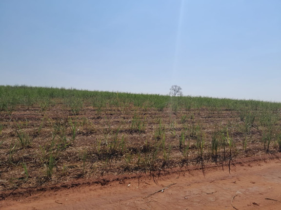 Imagem Imóvel à Venda, 40 m² em área Rural De Jales - Jales Imagem Imóvel à Venda, 40 m² em área Rural De Jales - Jales