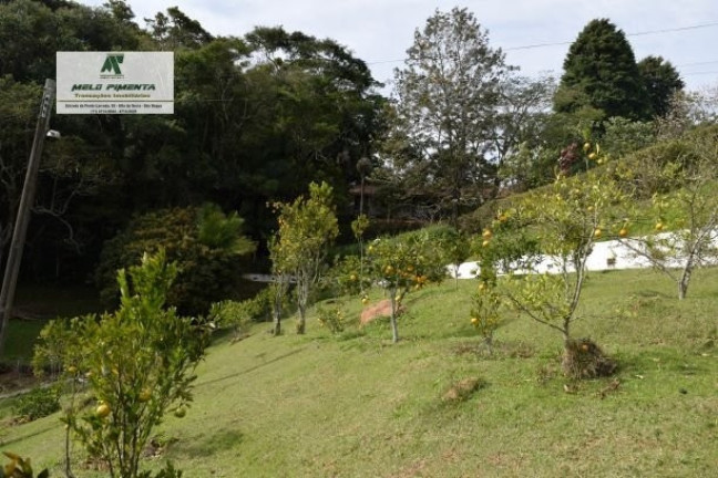 Imagem Chácara com 5 Quartos à Venda, 21.000 m² em Mailasqui - São Roque Imagem Chácara com 5 Quartos à Venda, 21.000 m² em Mailasqui - São Roque