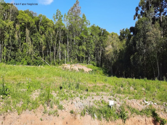 Imagem Terreno à Venda, 360 m² em Linha Imperial - Nova Petrópolis Imagem Terreno à Venda, 360 m² em Linha Imperial - Nova Petrópolis