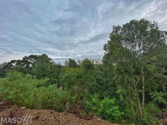 Imagem Terreno à Venda, 450 m² em Dutra - Gramado Imagem Terreno à Venda, 450 m² em Dutra - Gramado