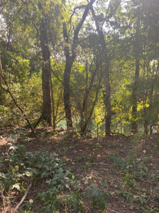 Imagem Imóvel à Venda, 40.000 m² em Bonito - Bonito Imagem Imóvel à Venda, 40.000 m² em Bonito - Bonito