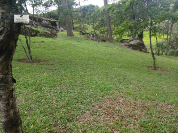 Imagem Chácara com 6 Quartos à Venda, 22.000 m² em Alto Da Serra - São Roque Imagem Chácara com 6 Quartos à Venda, 22.000 m² em Alto Da Serra - São Roque
