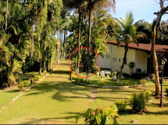Imagem Casa com 4 Quartos à Venda, 724 m² em Boiçucanga - São Sebastião Imagem Casa com 4 Quartos à Venda, 724 m² em Boiçucanga - São Sebastião
