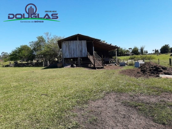 Imagem Chácara à Venda,  em águas Claras - Viamão
