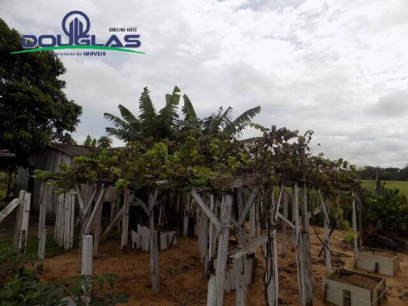 Imagem Casa com 2 Quartos à Venda, 1.560 m² em Viamão Imagem Casa com 2 Quartos à Venda, 1.560 m² em Viamão