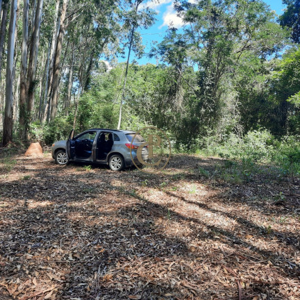 Imagem Fazenda à Venda, 100 m² em Lagoa - Paraibuna